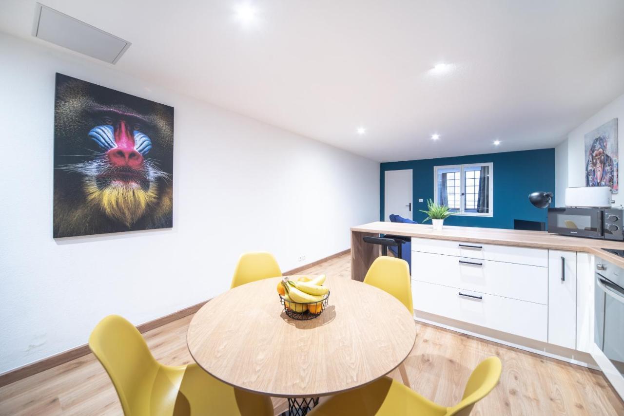 Appartement Pop Au Coeur Du Centre Ville Mâcon Zewnętrze zdjęcie